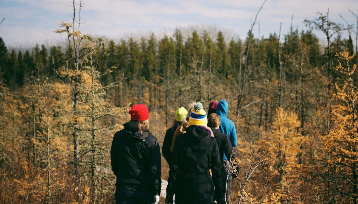 A small group of people dressed for cold weather leisurely walking through an autumn forest